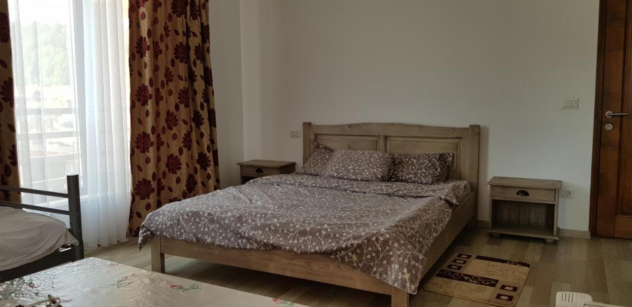 Borşa Autovilas المظهر الخارجي الصورة